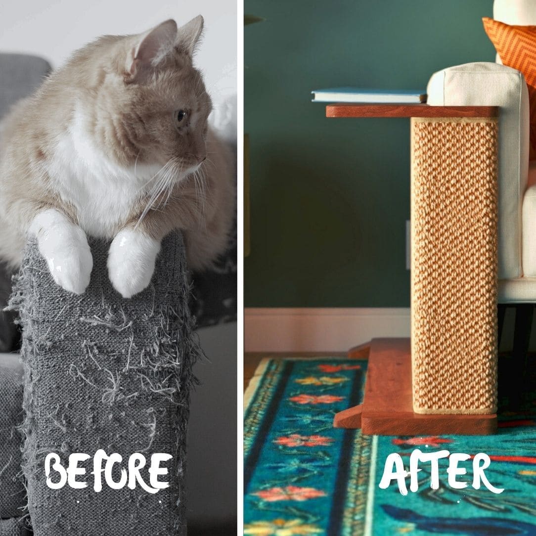 Corner End Table with Cat Scratch Panel – Tailored Paw