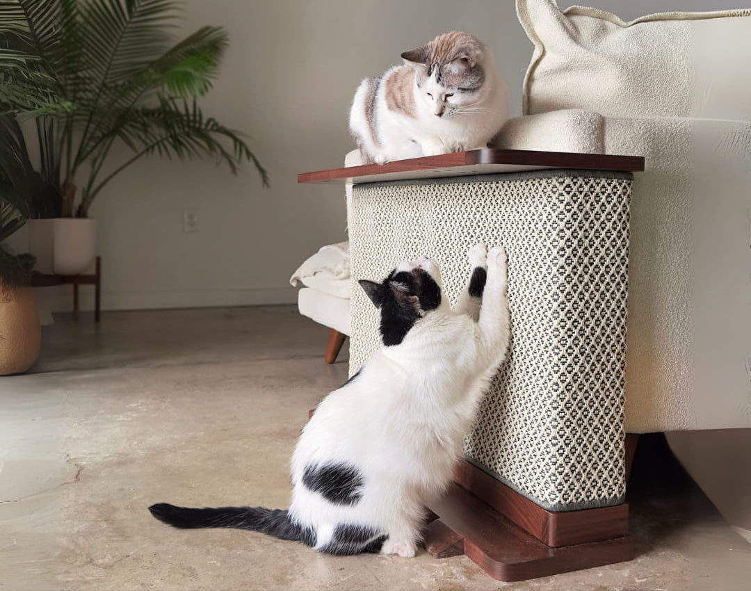 Cat Scratch Table Corner End Table with Cat Scratch Panel – Tailored Paw