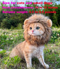 Cat Lion Costume