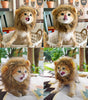 Cat Lion Costume