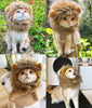 Cat Lion Costume