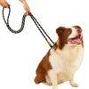 Hands-Free Leash