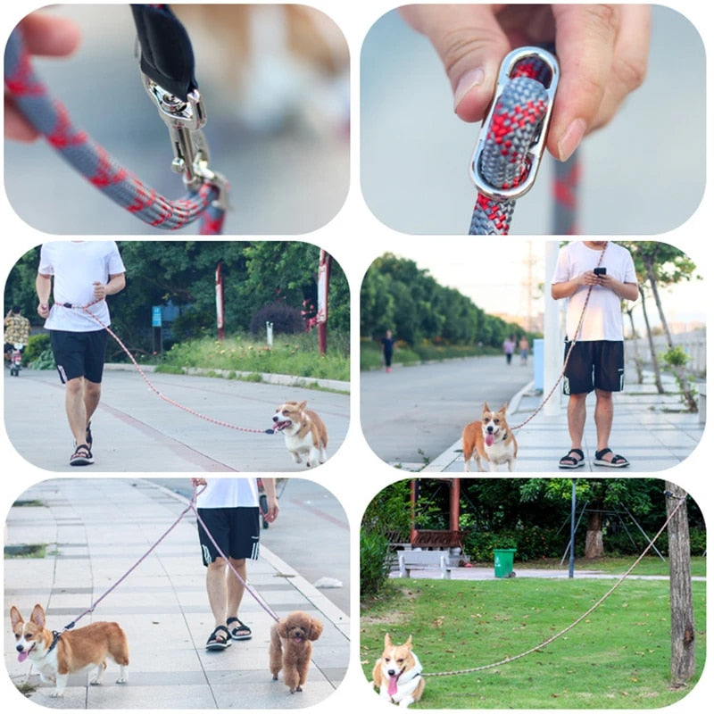 Hands-Free Leash