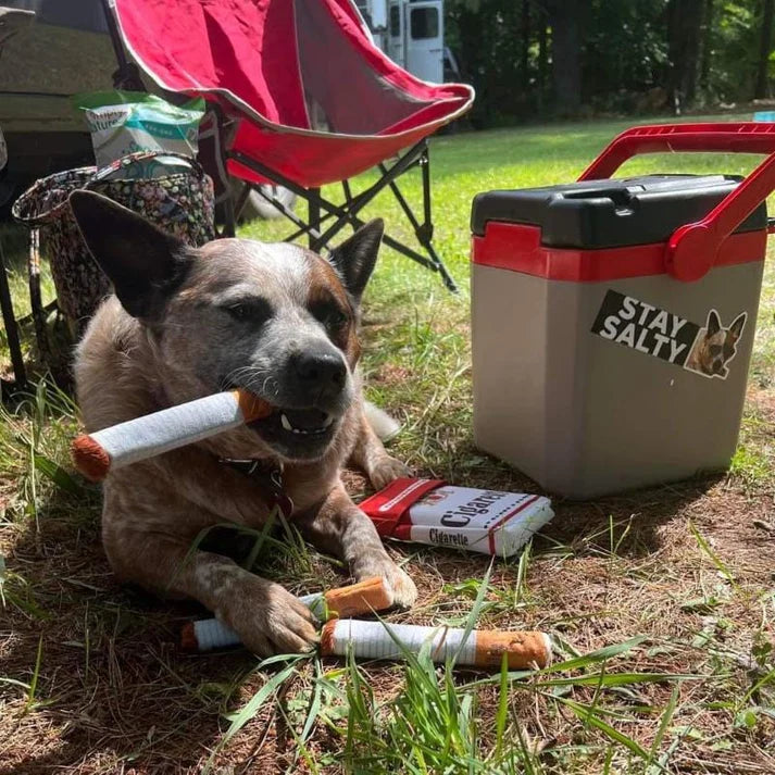 Cigrarette Dog Toy