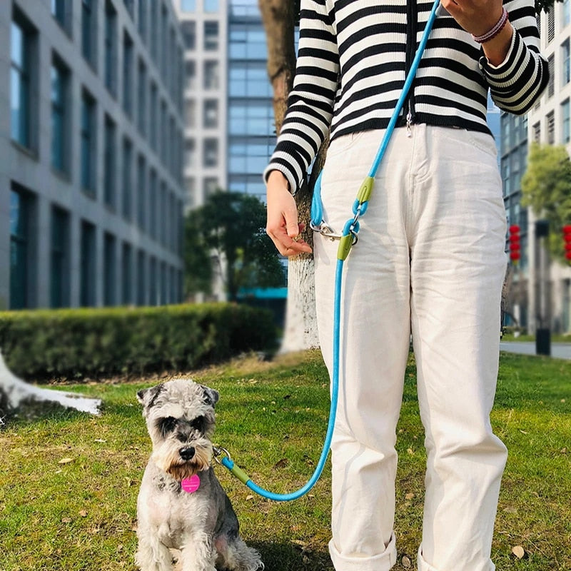 Hands-Free Leash