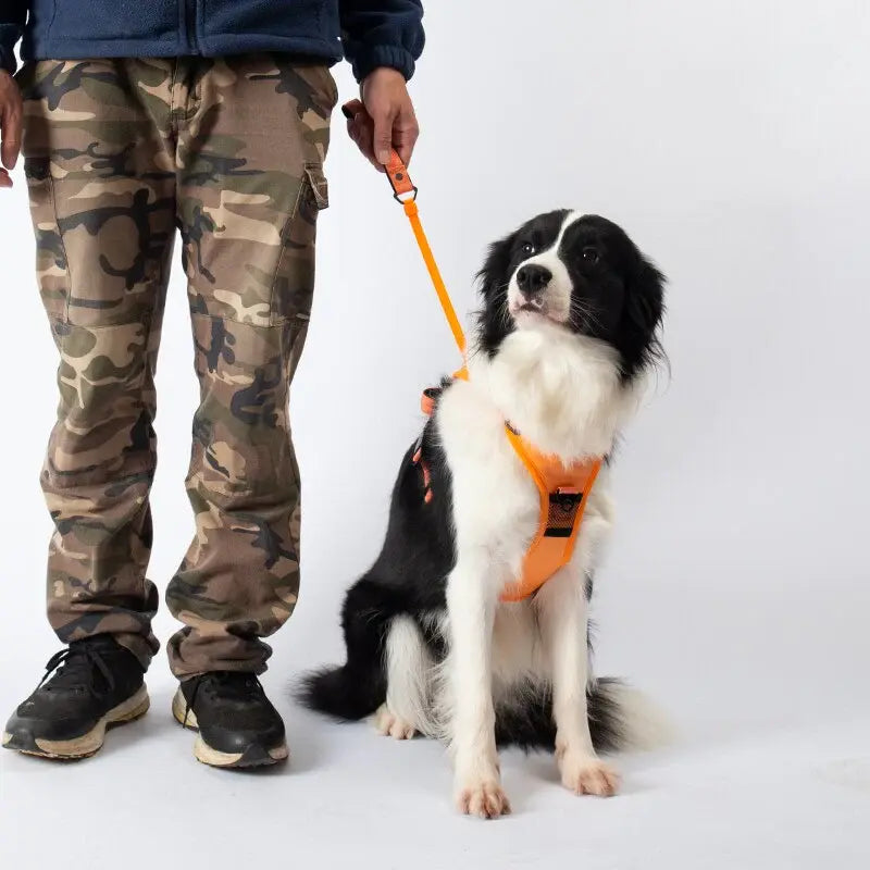 No Pull Adjustable Harness & Leash ™ (Free Training Guide)