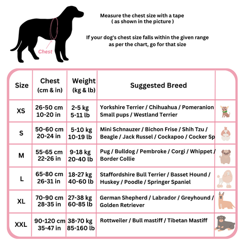 Tailored Harness™ (Free Training Guide)