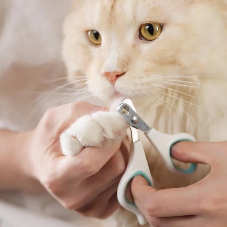 Meow Nail Trimmer