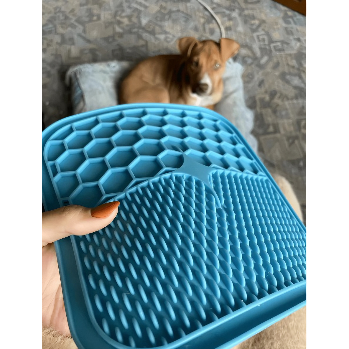 Calming Lick Mat