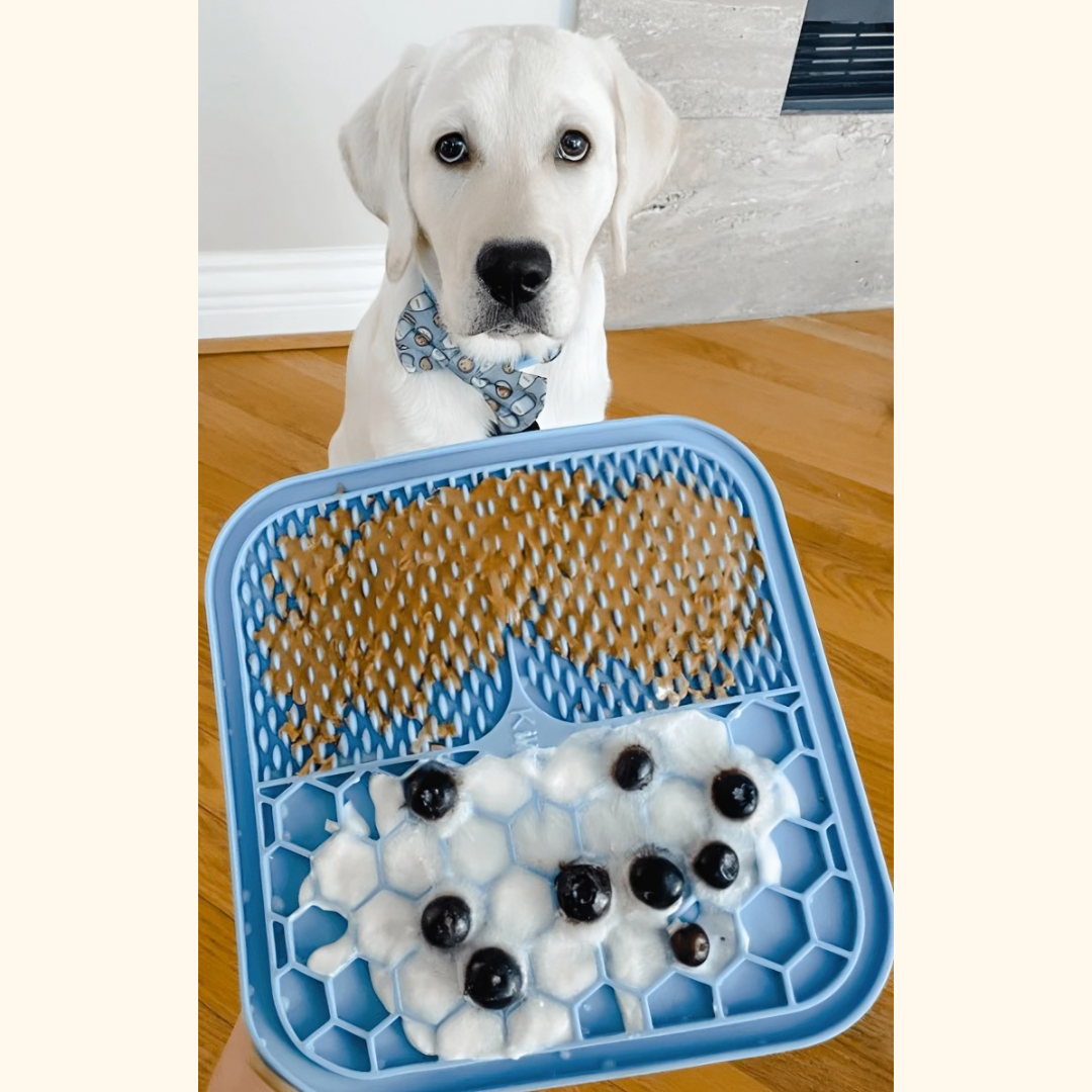 Calming Lick Mat